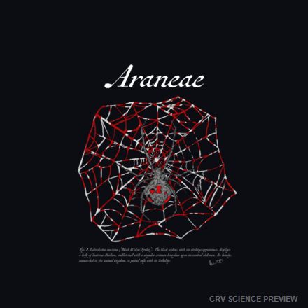 Araneae (Black Widow Spider) - Hooded Long-Sleeve Tee artwork