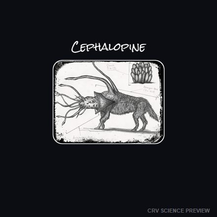 Cephalopine Bella Canvas T-Shirt artwork