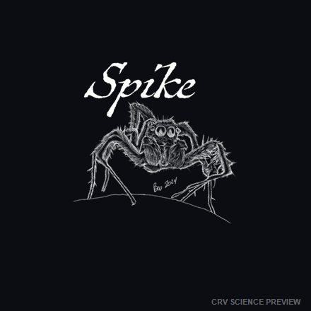 Spike (Jumping Spider) - Bella Canvas T-Shirt artwork