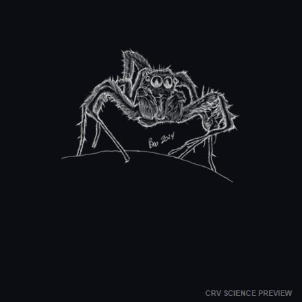 Spike (Jumping Spider) - Bella Canvas T-Shirt - (image only) artwork