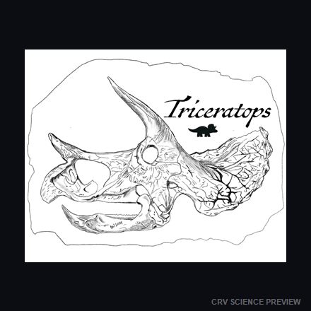 Triceratops - Framed Print artwork