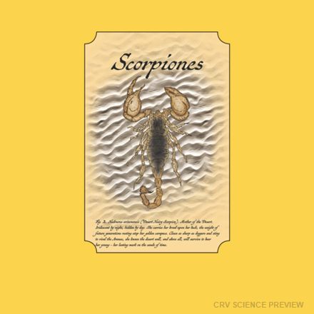 Scorpiones (Desert Hairy Scorpion) - Bella Canvas T-Shirt (Yellow) artwork