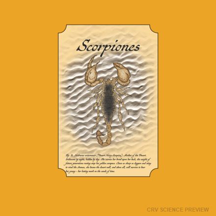 Scorpiones (Desert Hairy Scorpion) - Bella Canvas T-Shirt artwork
