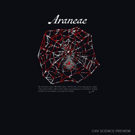Araneae (Black Widow Spider) - Bella Canvas T-Shirt artwork