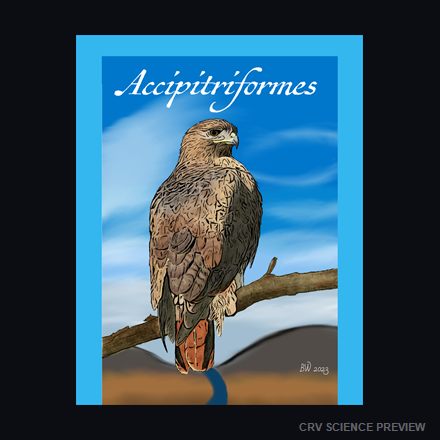 Accipitriformes (Red Tailed Hawk) - Standard Postcard 4"x6" artwork