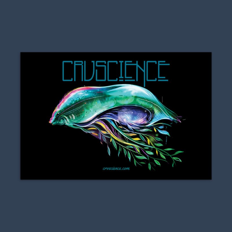 Space Jelly - Standard Postcard 4"x6"