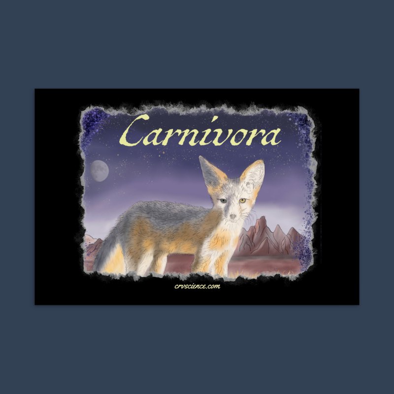 Carnivora (Kit Fox) - Standard Postcard 4"x6"