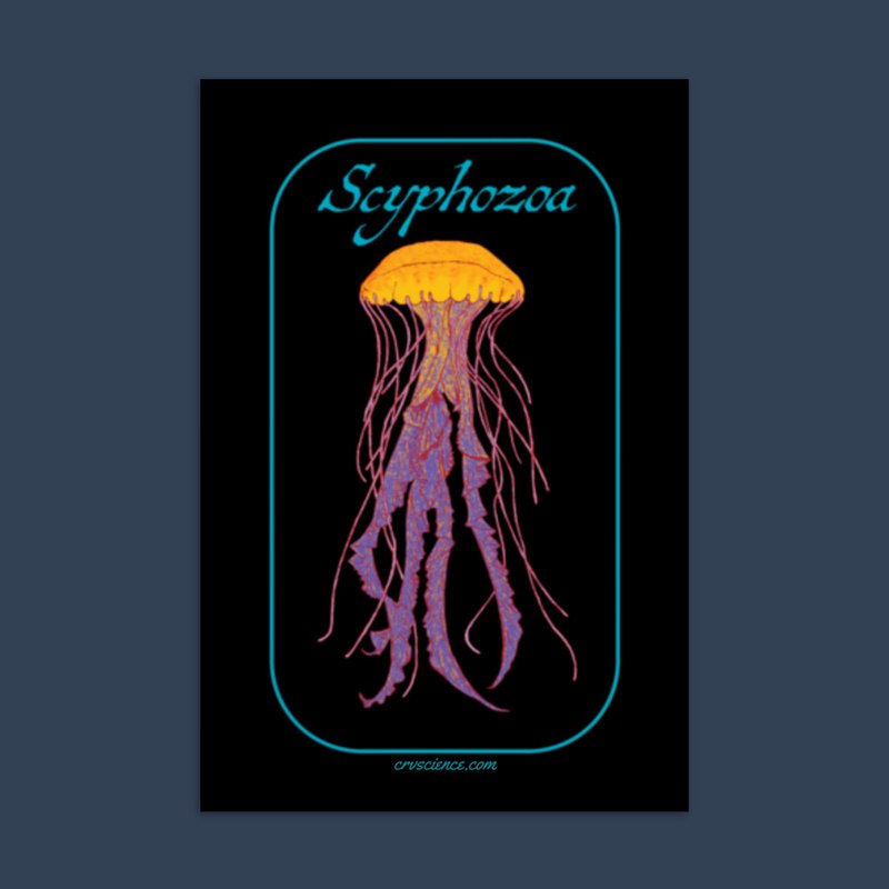 Scyphozoa (Sea Jellies) - Standard Postcard 4"x6"