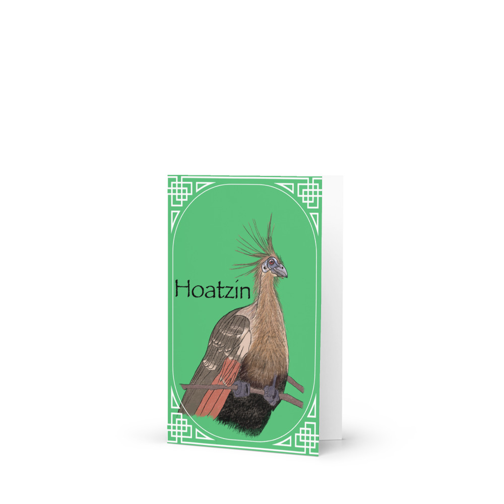 Hoatzin (Opisthocomus hoazin) - Greeting Card 4"x6"