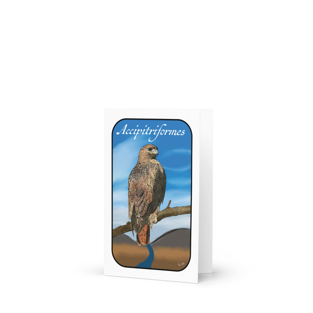 Accipitriformes (Red Tailed Hawk) - Greeting Card 4"x6"