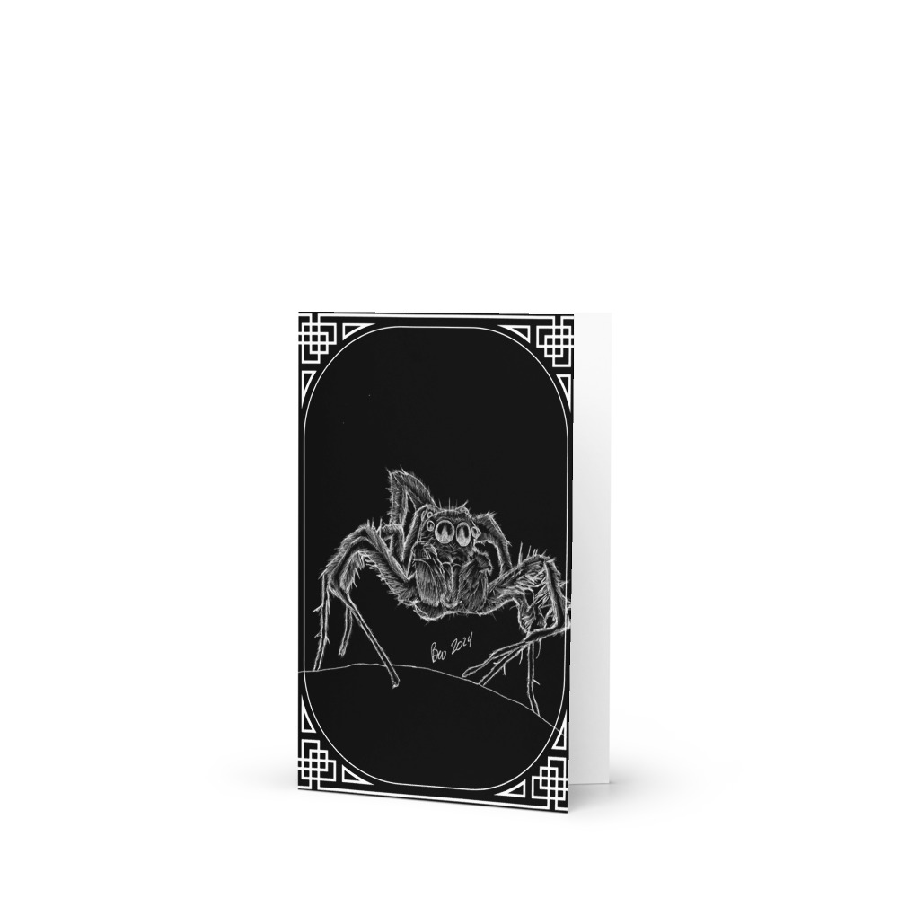 Salticidae (Bold Jumping Spider) - Greeting Card 4"x6"