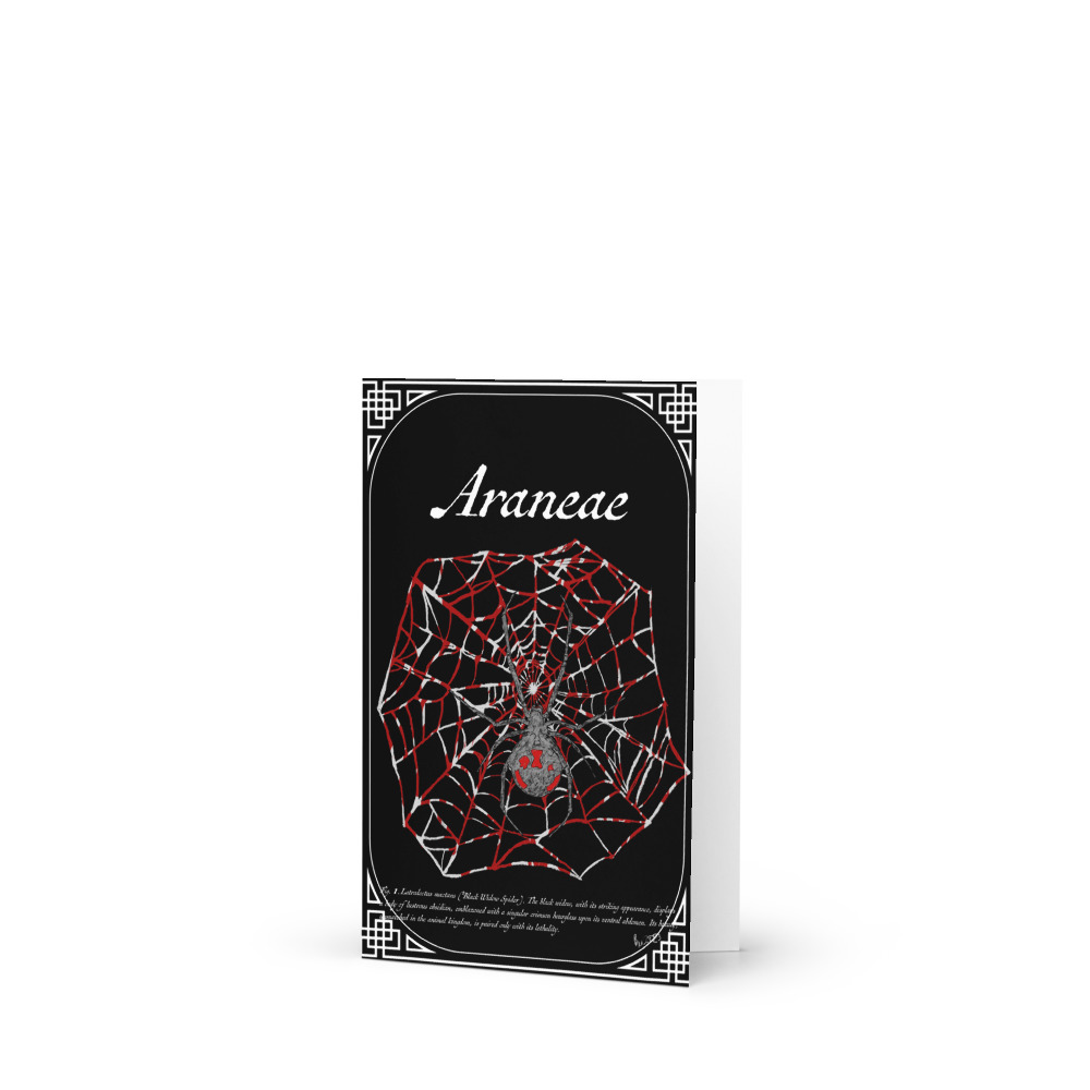Araneae (Black Widow Spider) - Greeting Card 4"x6"
