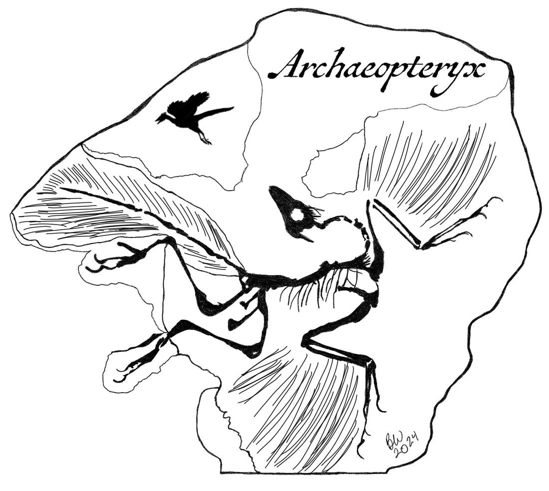 Data Sheet: Archaeopteryx - Science Label