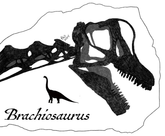 Data Sheet: Brachiosaurus - Science Label