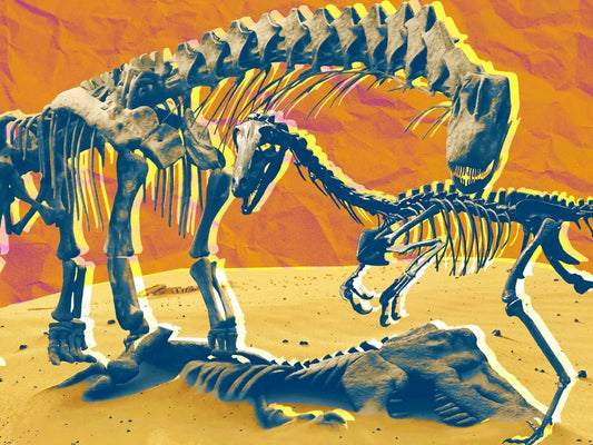 Data Sheet: Recent Discoveries in Dinosauria - April 2024 - Science Label