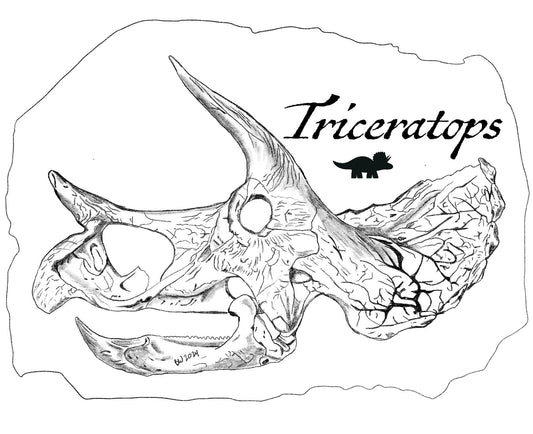 Data Sheet: Triceratops - Science Label