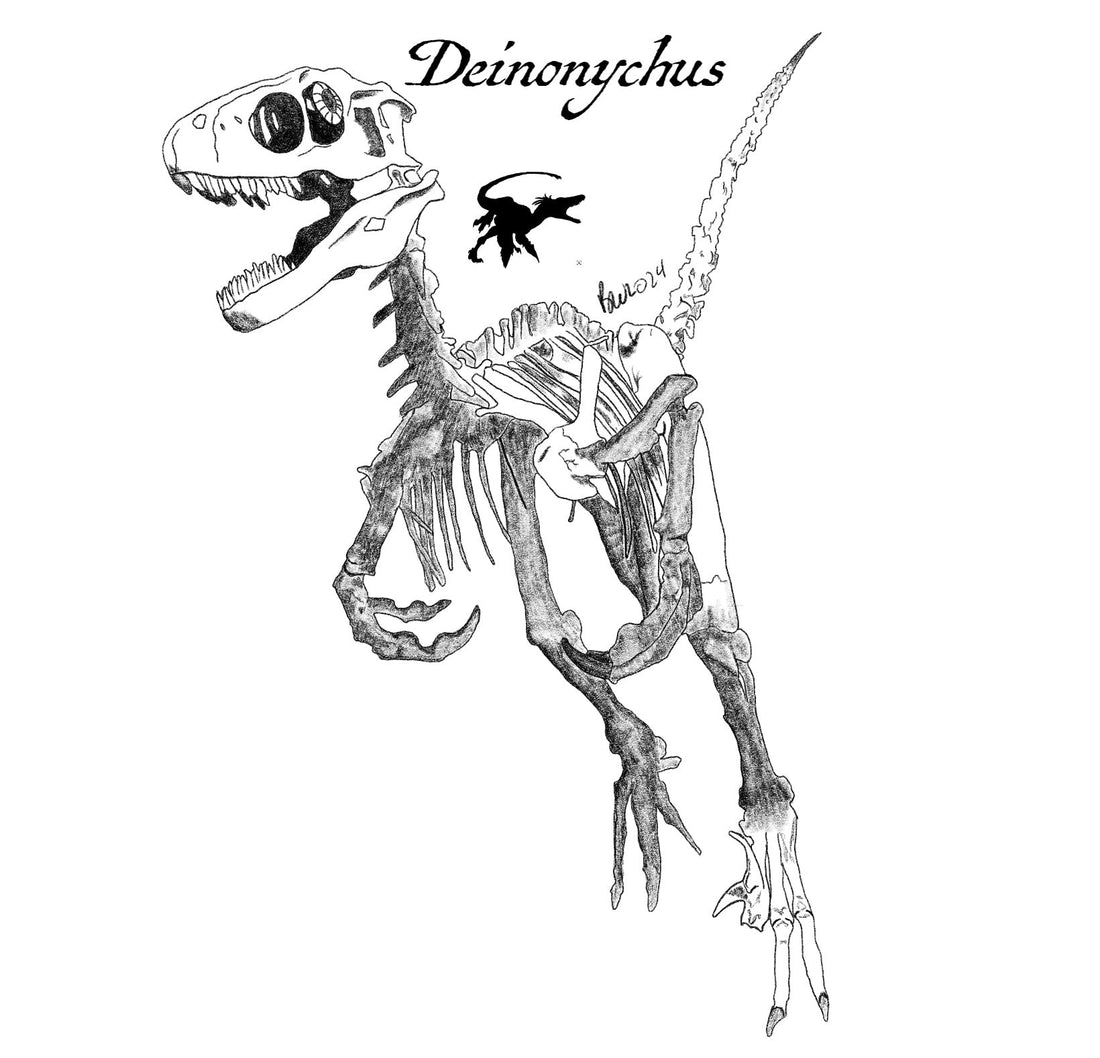 Deinonychus: The True Raptor of Jurassic Park - Science Label