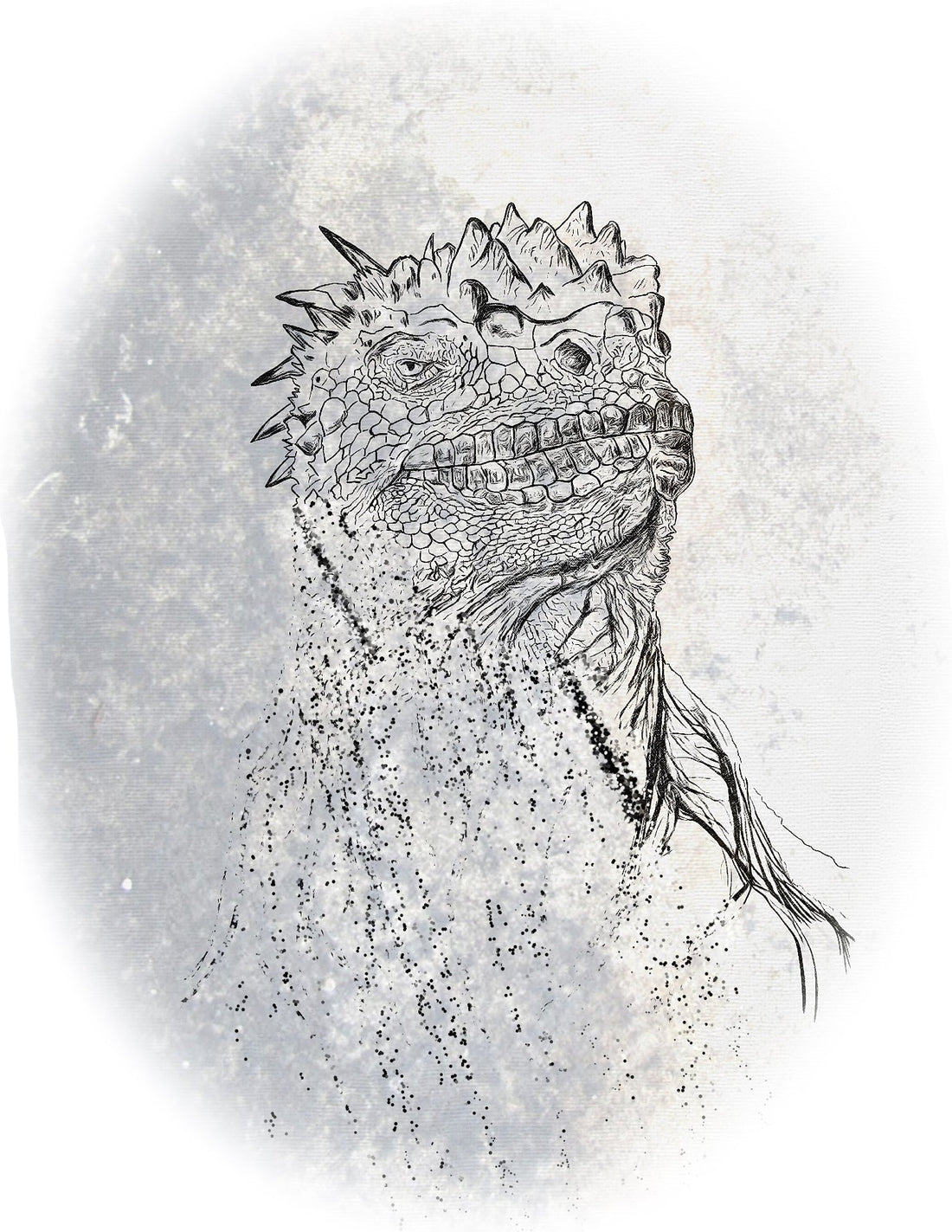 Exploring the Natural History of Marine Iguanas: Evolution, Ecology, and Conservation - Science Label