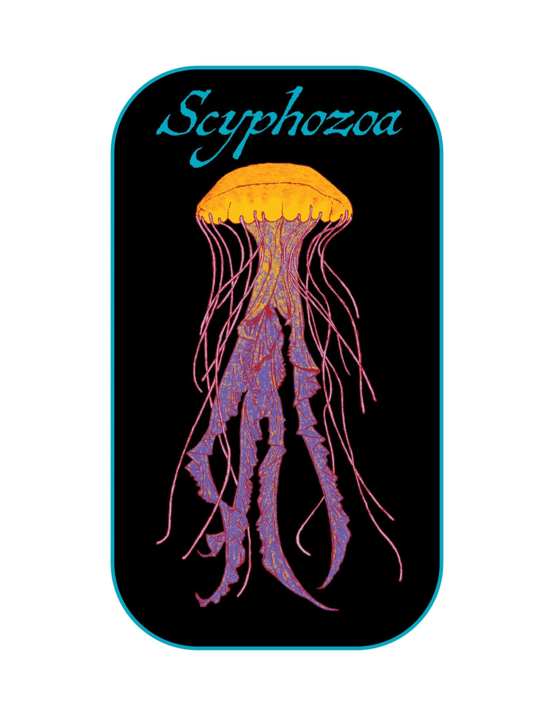 The Vital Role of Scyphozoan Jellies in Marine Biodiversity and the Intersection with Environmental Conservation through Clothing and Art - Science Label