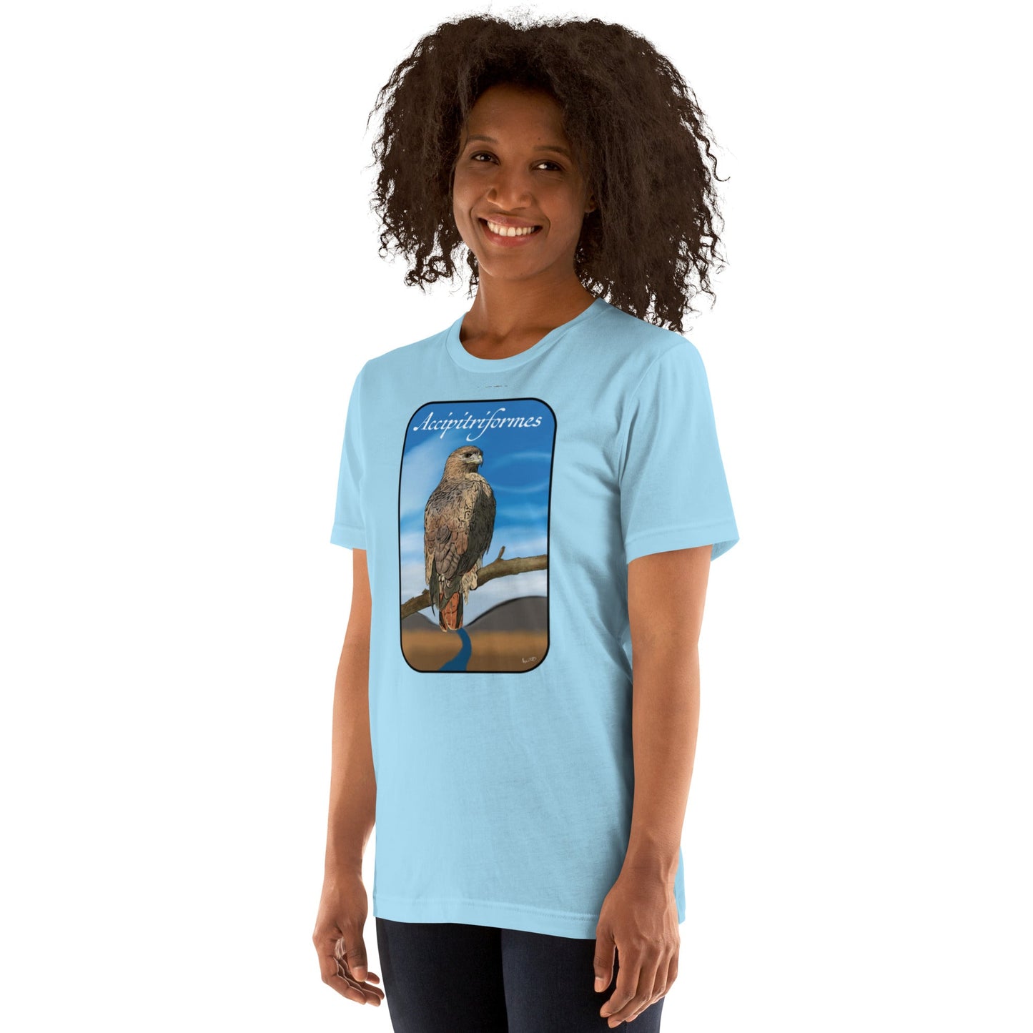 Accipitriformes 2024 - Bella Canvas T-Shirt - Red - Tailed Hawk (Buteo jamaicensis) - Science Label