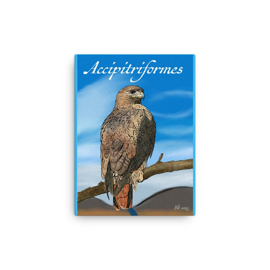 Accipitriformes - Thin Canvas Print - Science Label