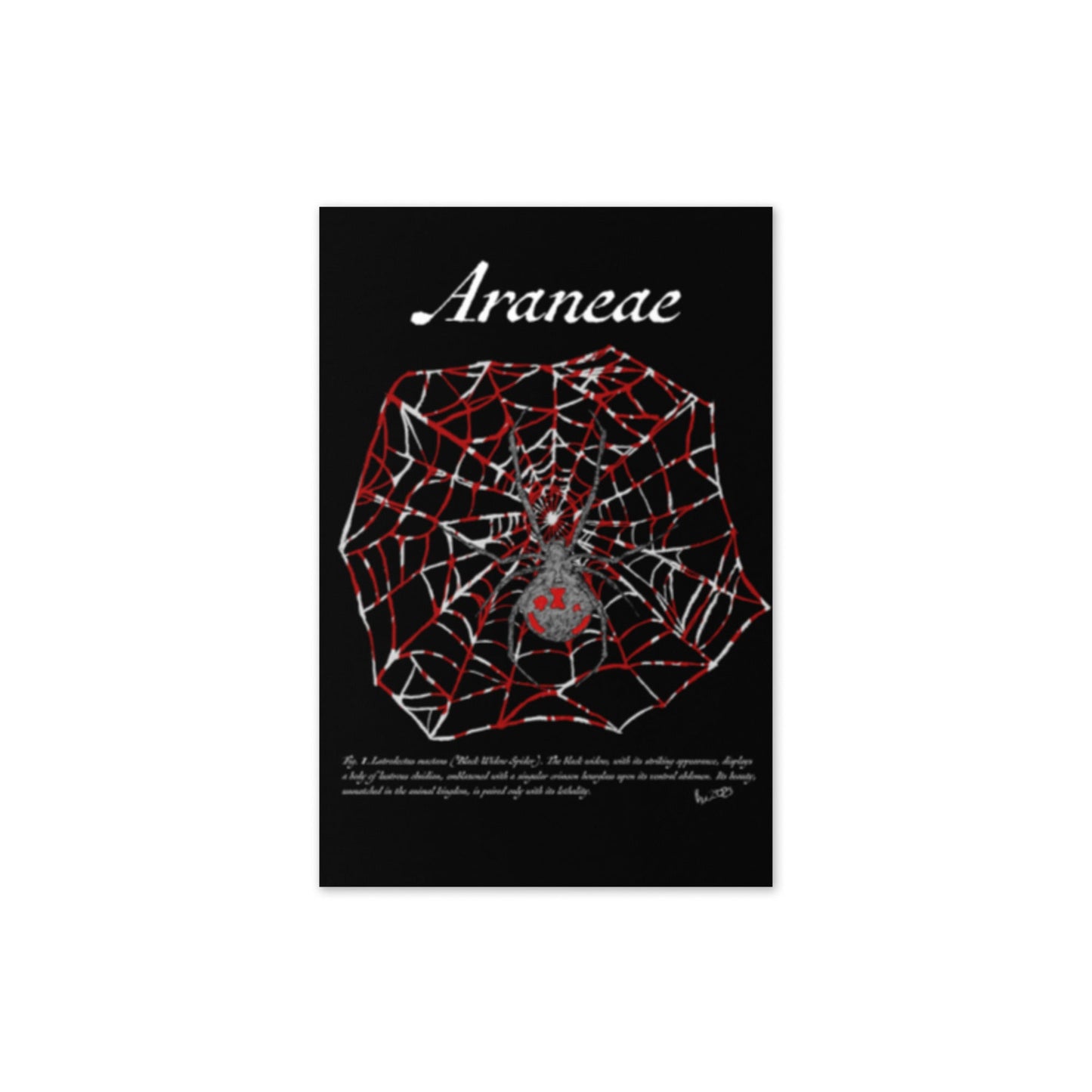 Araneae - 4"x6" Greeting card - Science Label