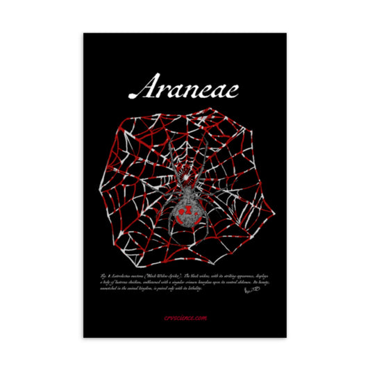 Araneae - 4"x6" Postcard - Science Label