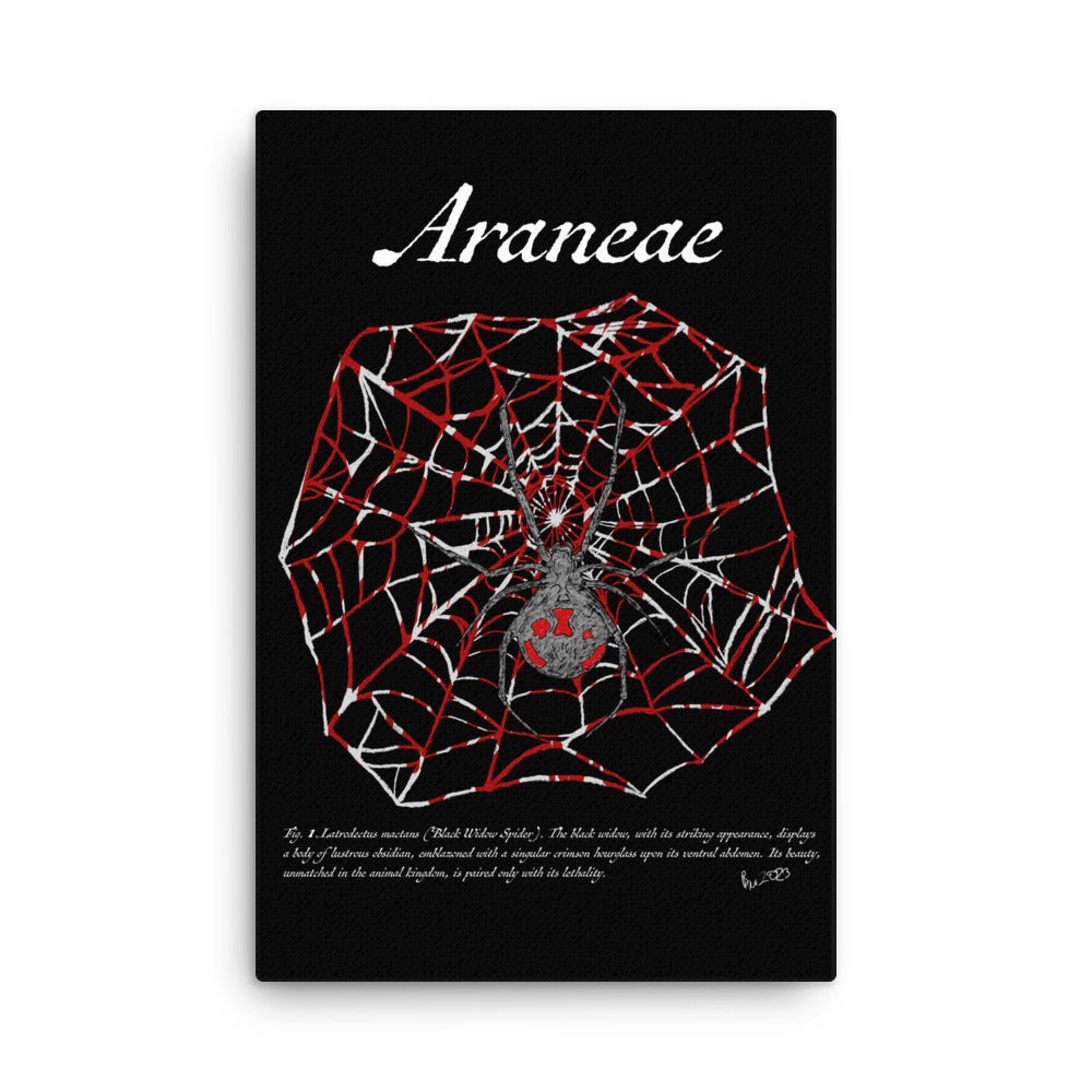 Fig. 1. Araneae - Canvas print - Black Widow Spider (Latrodectus hesperus) - Science Label