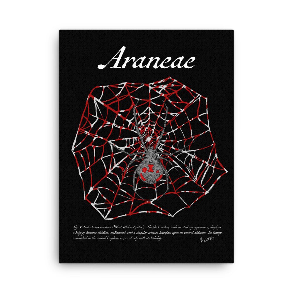 Fig. 1. Araneae - Canvas print - Black Widow Spider (Latrodectus hesperus) - Science Label