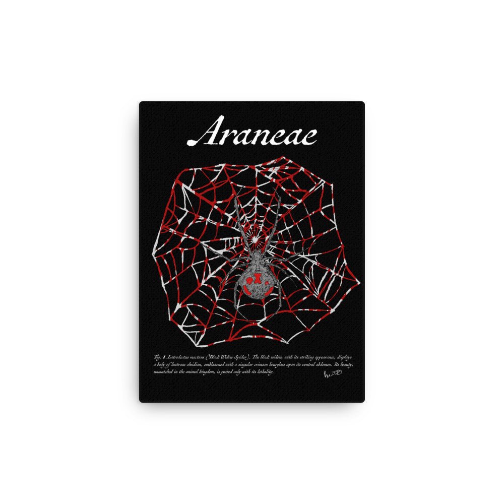 Fig. 1. Araneae - Canvas print - Black Widow Spider (Latrodectus hesperus) - Science Label