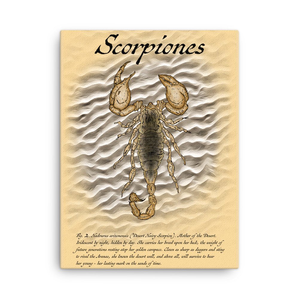 Fig. 2. Scorpiones - Canvas print - Desert Hairy Scorpion (Hadrurus arizonensis) - Science Label