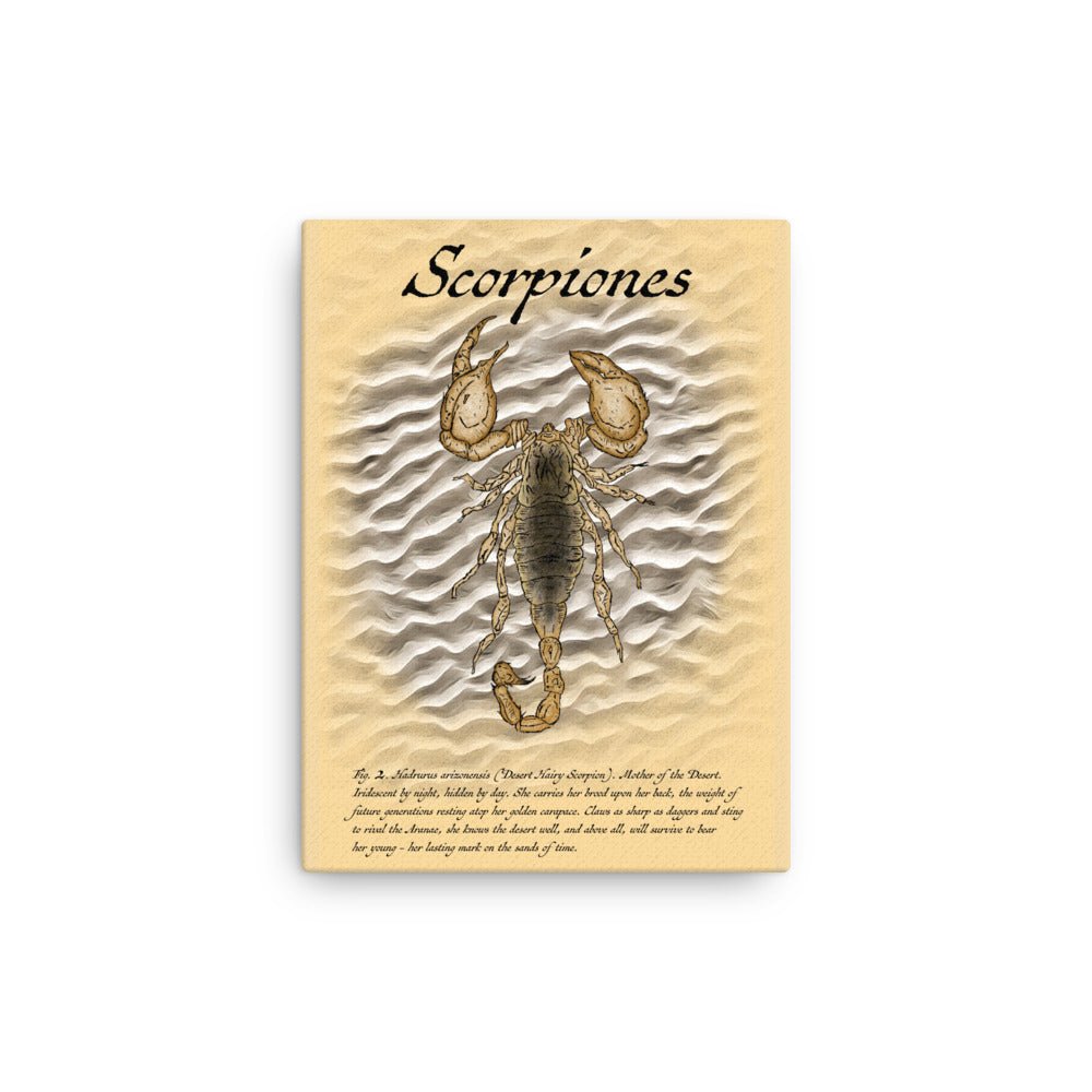 Fig. 2. Scorpiones - Canvas print - Desert Hairy Scorpion (Hadrurus arizonensis) - Science Label