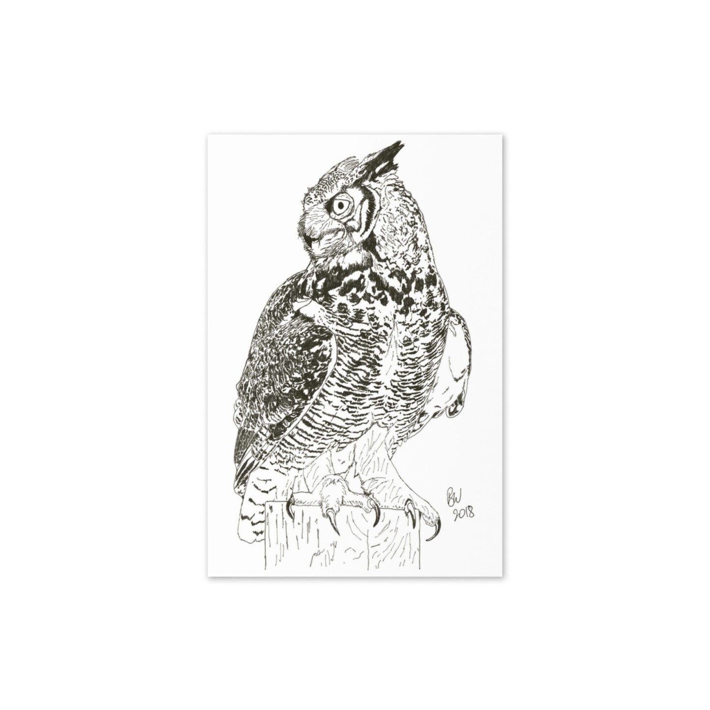 Great Horned Owl - 4"x6" Greeting card - Science Label