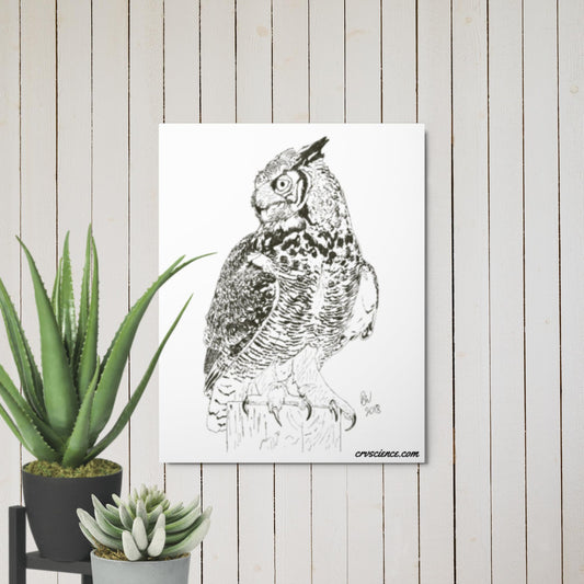 Great Horned Owl - Metal prints - Science Label