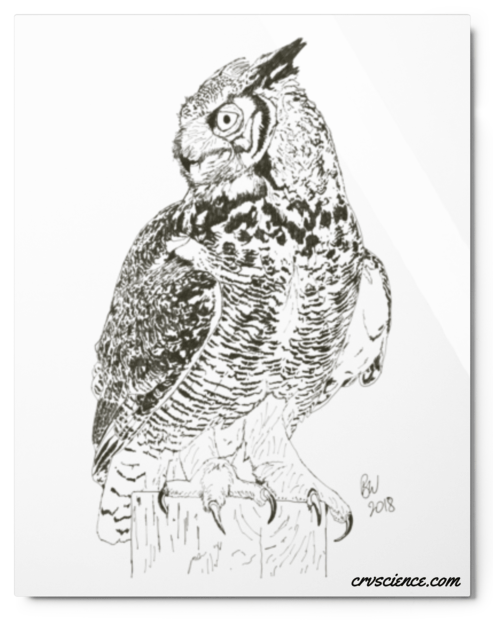 Great Horned Owl - Metal prints - Science Label