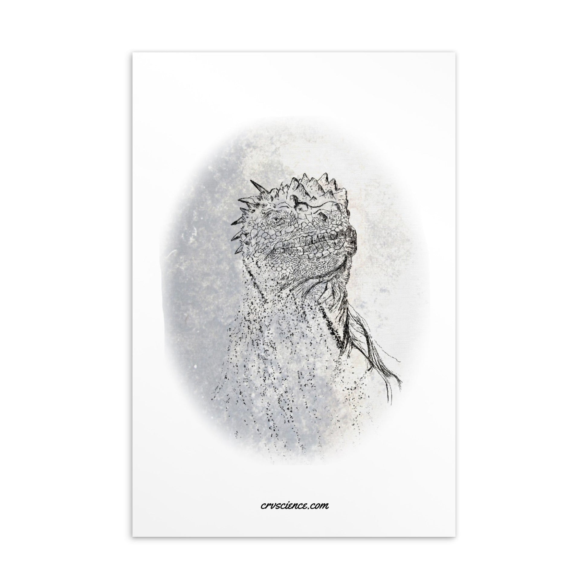 Marine Iguana - 4"x6" Postcard - Science Label