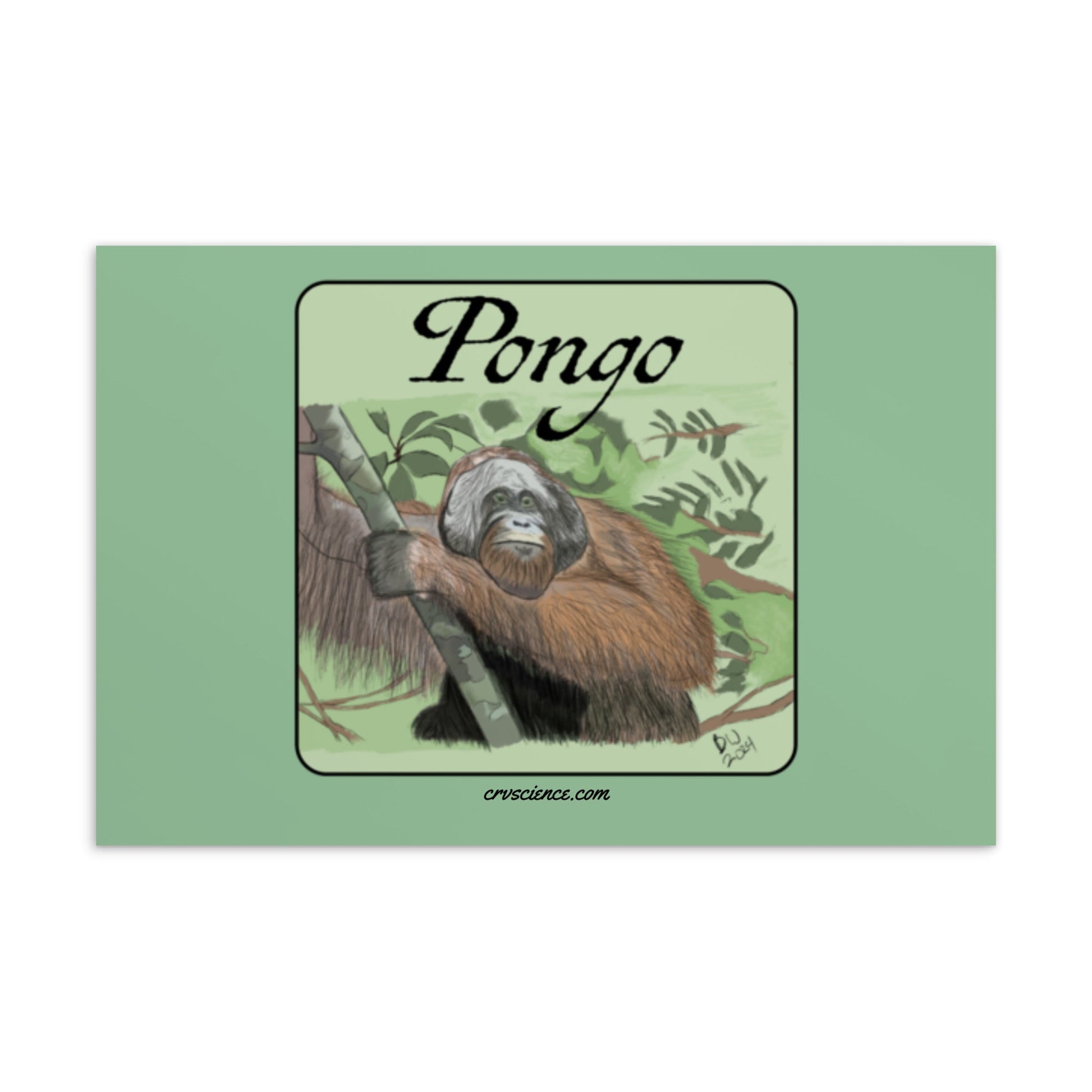 Pongo - 4"x6" Postcard - Science Label