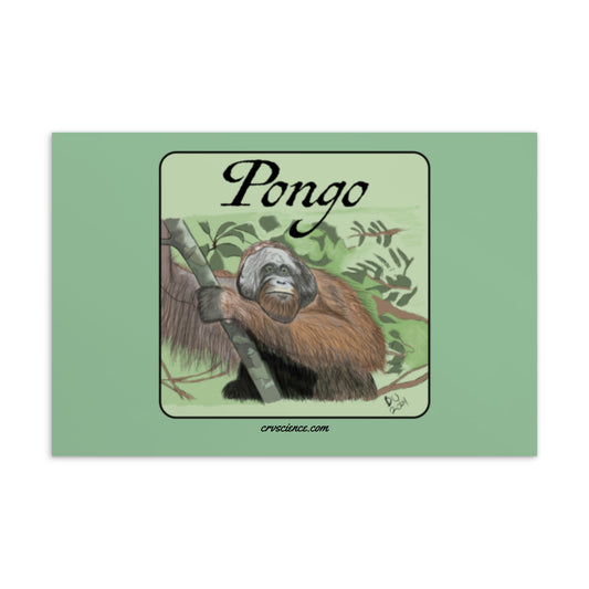 Pongo - 4"x6" Postcard - Science Label