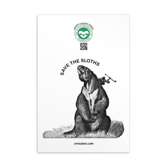 Save the Sloths - 4"x6" Postcard - Science Label