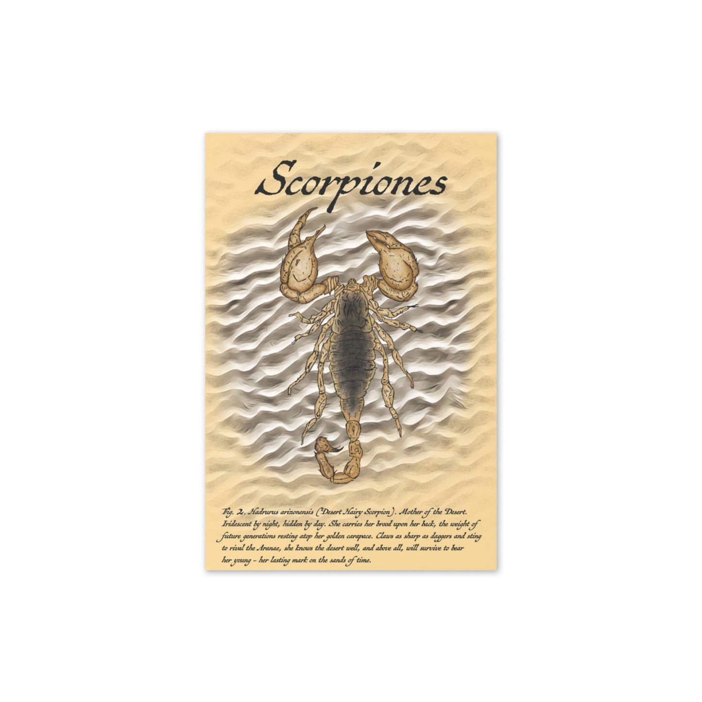 Scorpiones - 4"x6" Greeting card - Science Label