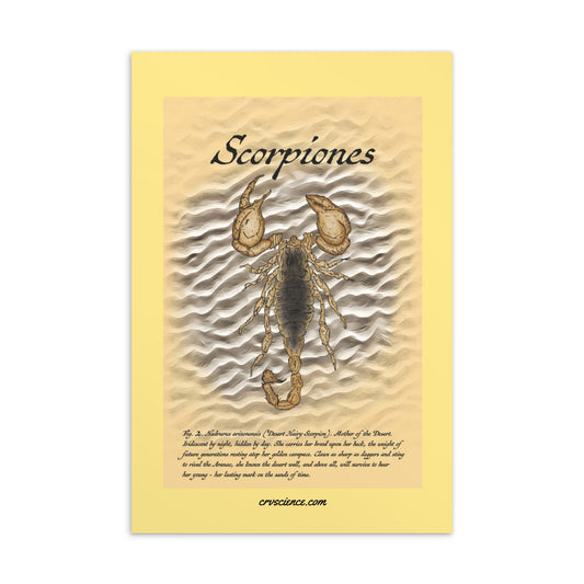 Scorpiones - 4"x6" Postcard - Science Label