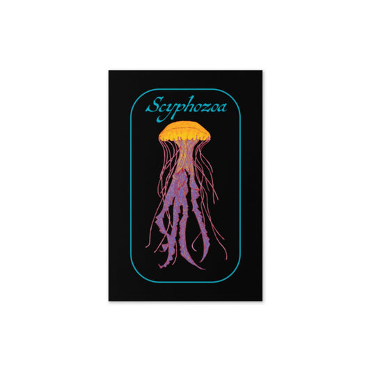 Scyphozoa - 4"x6" Greeting card - Science Label