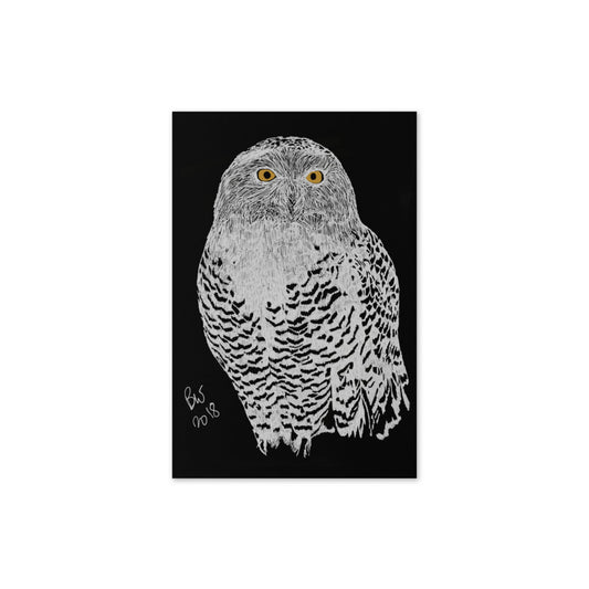 Snowy Owl - 4"x6" Greeting card - Science Label