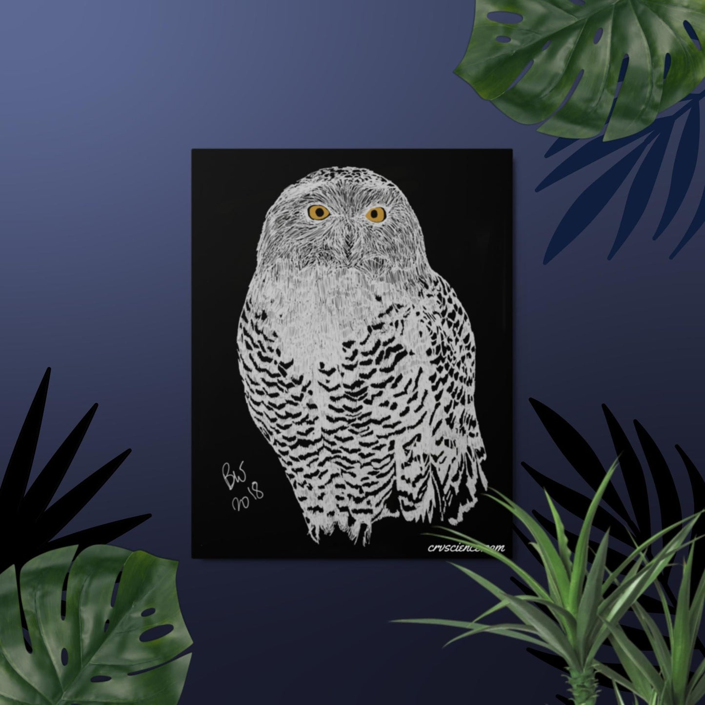 Snowy Owl - Metal prints - Science Label