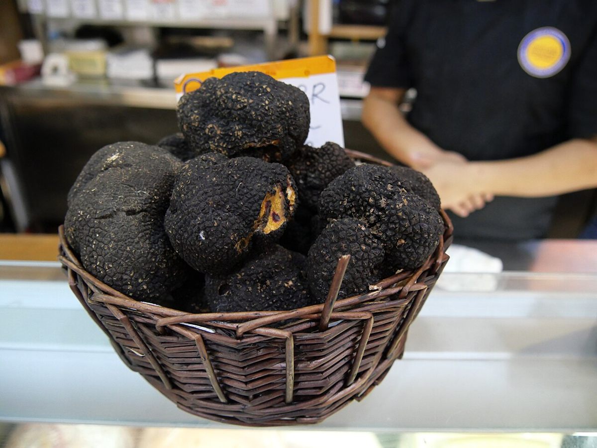 Photo of Black Truffle (Tuber melanosporum)