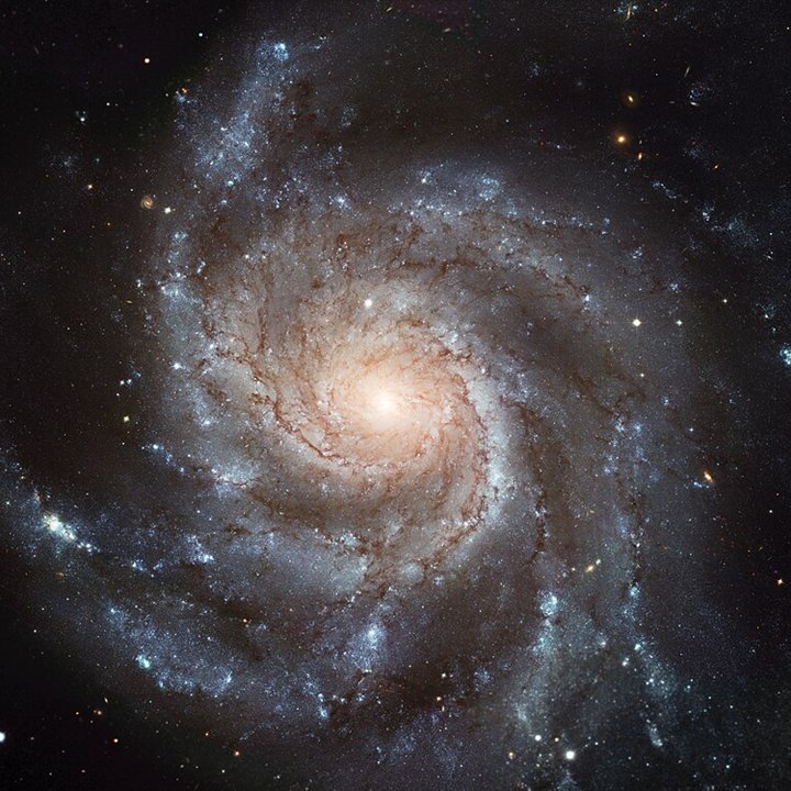 Pinwheel Galaxy (M101 • NGC 5457)