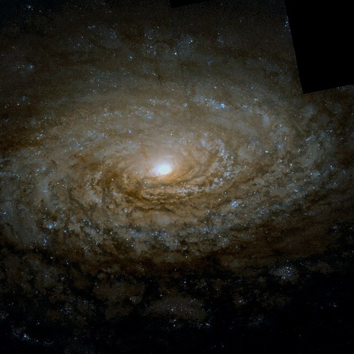 Sunflower Galaxy (M63 • NGC 5055)