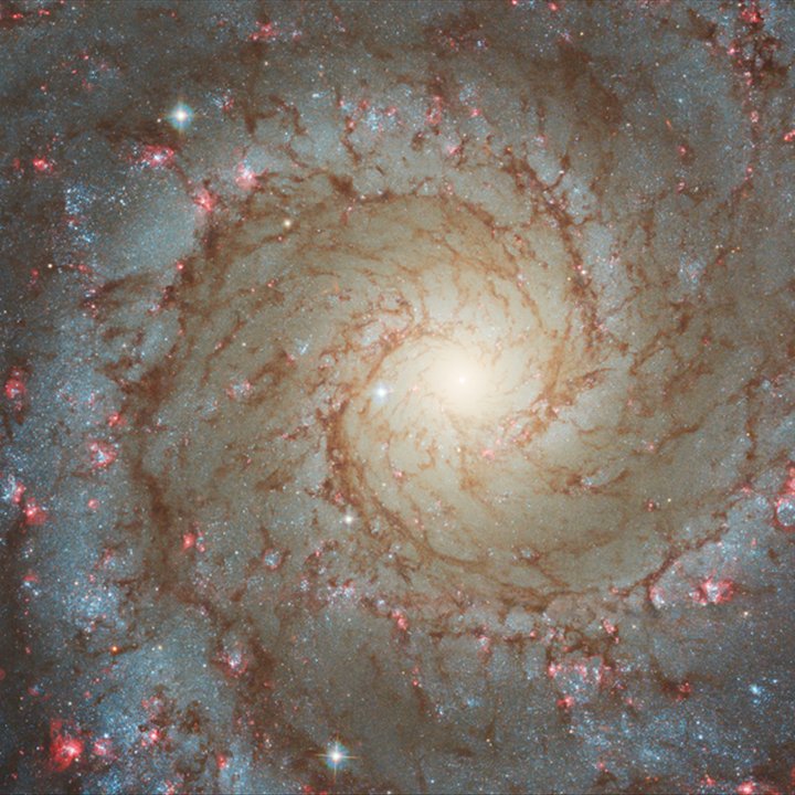 Phantom Galaxy (M74 • NGC 628)