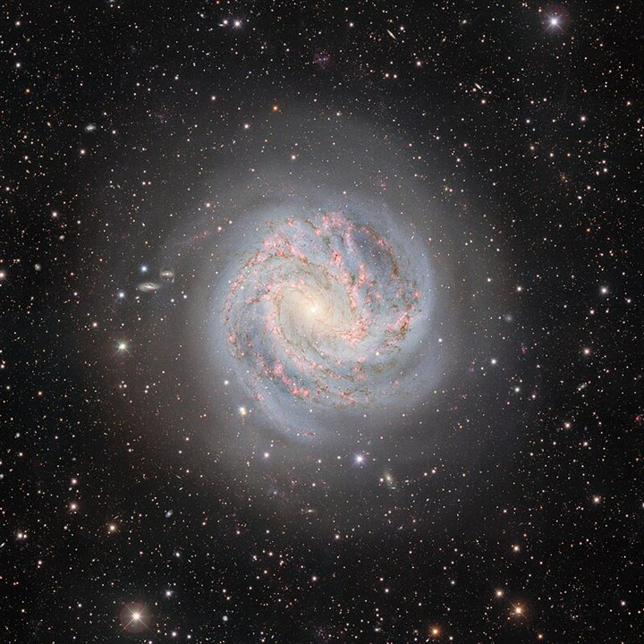 Southern Pinwheel (M83 • NGC 5236)