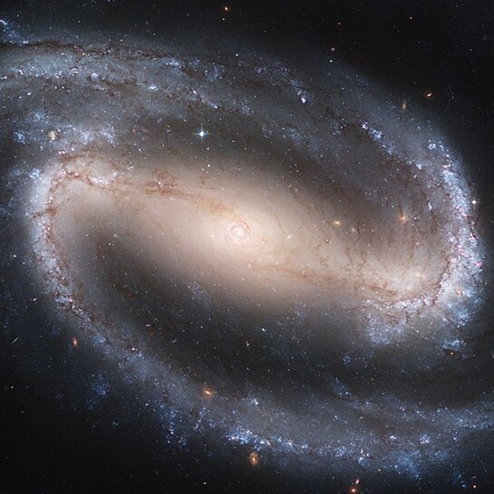 Great Barred Spiral (NGC 1300)